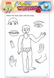 Scholars Hub Worksheets Body Parts